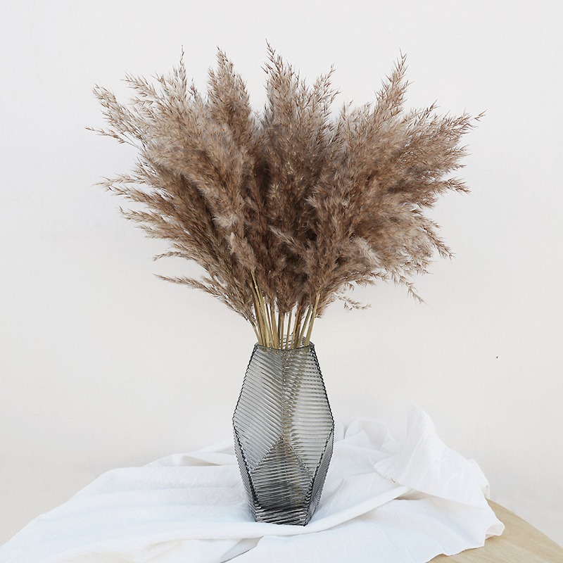 Florist Supply Vases - 10 szt. Kolorowe Naturalne Trzciny Trawa
