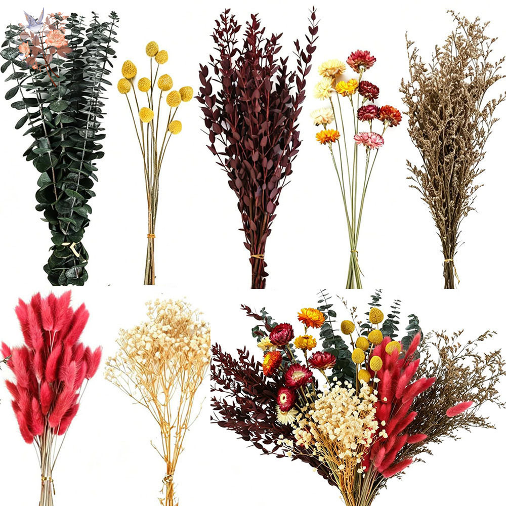 Zestaw suszonych kwiatów, 7 ga – Florist Flower Supply recenzja i cena