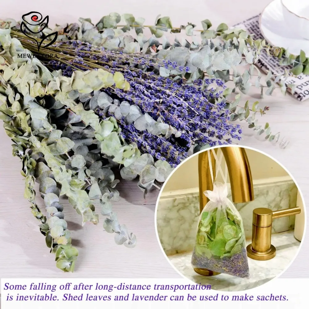 30Pcs Suszone kwiaty Zachowane – Eucalyptus Preserved recenzja i cena
