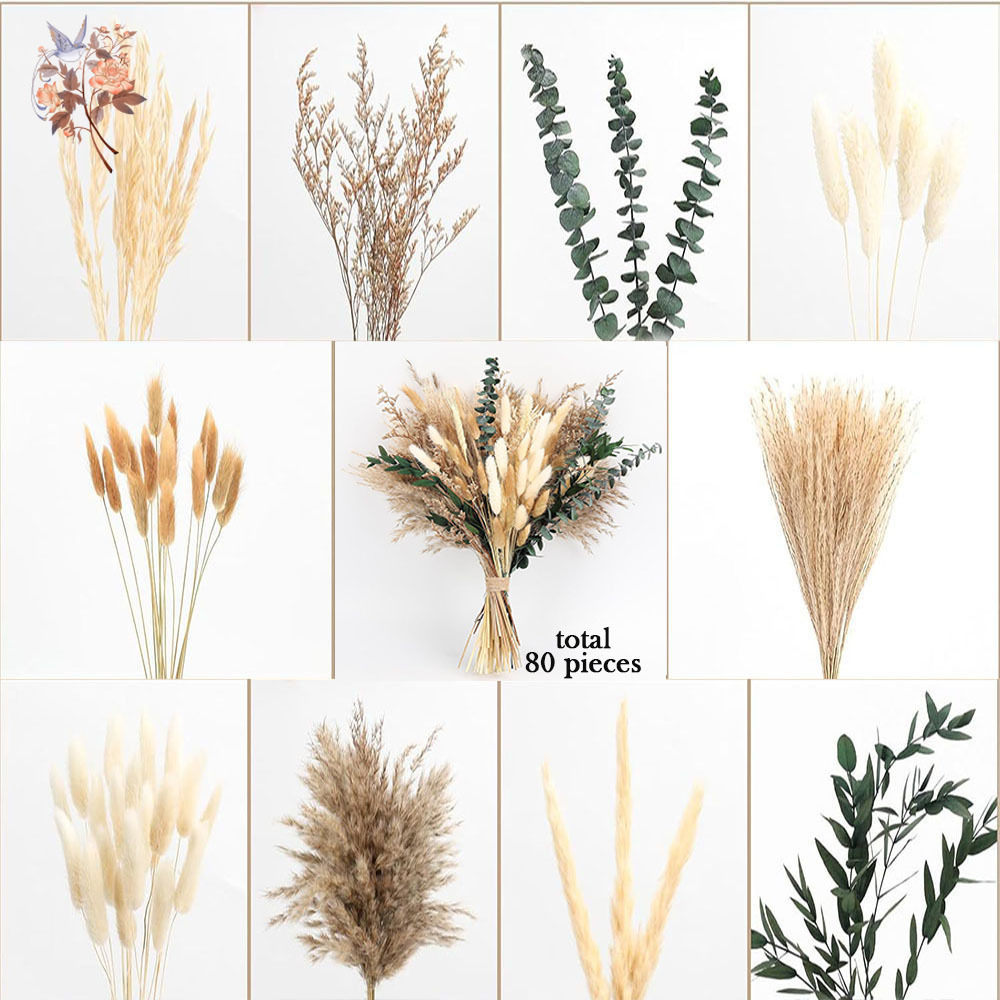 80 sztuk – bukiet z naturalnyc – Eucalyptus Preserved recenzja i cena